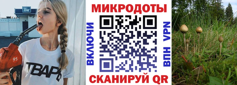 Галлюциногенные грибы мицелий  Купить  Кизилюрт 